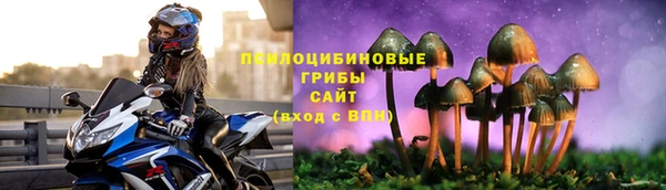 MDMA Premium VHQ Бронницы