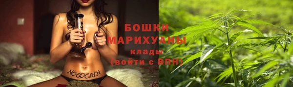 прущая мука Бородино
