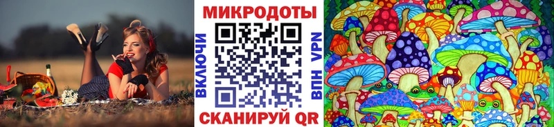 даркнет сайт  Гусев  Галлюциногенные грибы ЛСД 